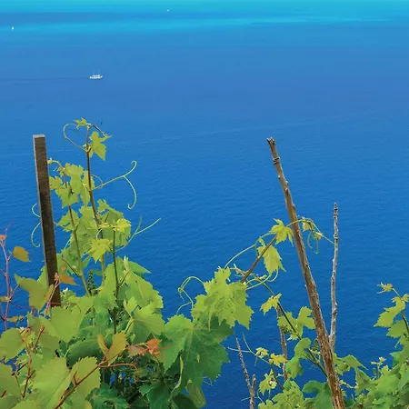 Gorgeous In Prázdninový dům Ston