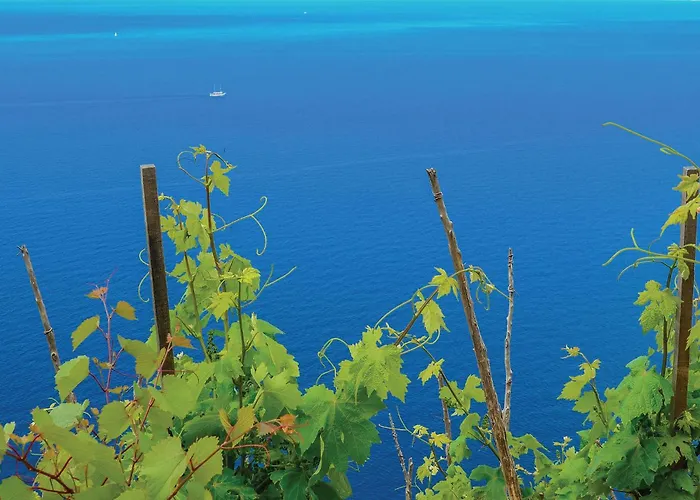 Gorgeous In Nyaraló Ston